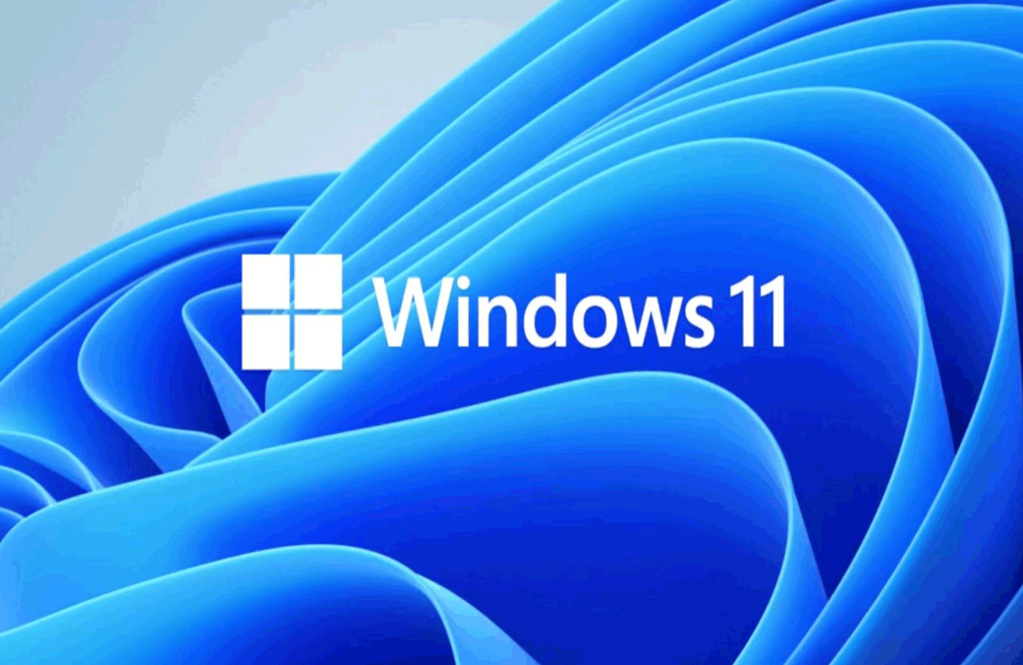 Windows11